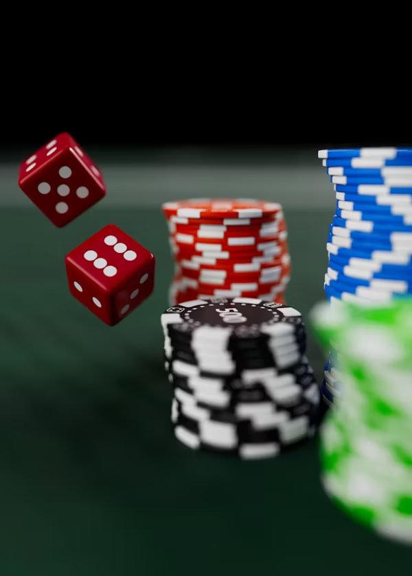 Kartu pemeriksaan data verifikasi akun